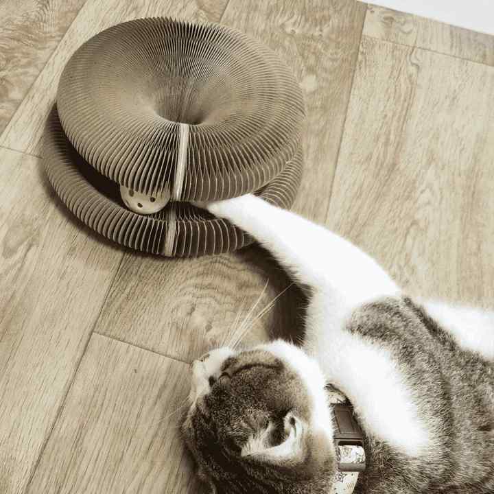 CatMaze™ Hračka pro kočky