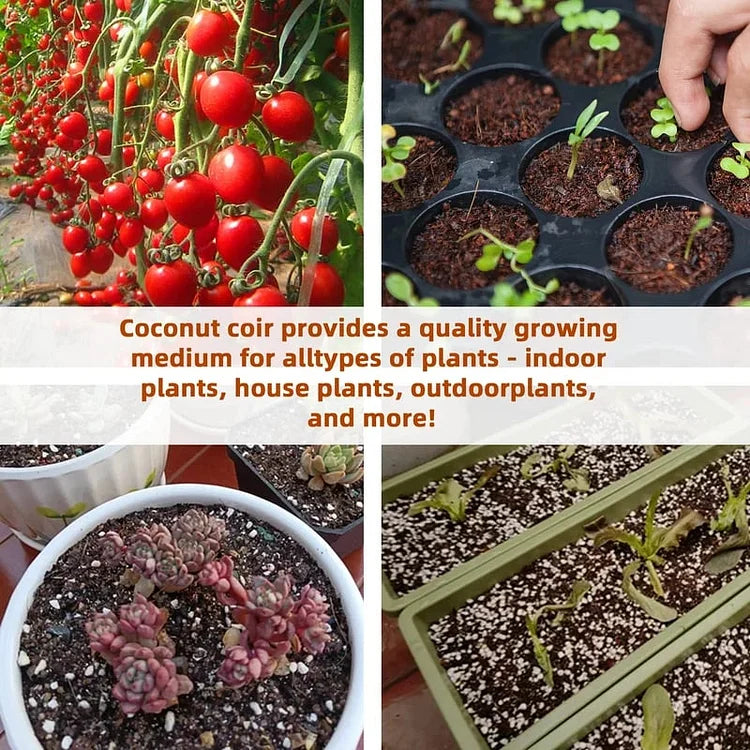 EcoBloom™ Prémiové organické cihly z kokosového vlákna pro rostliny
