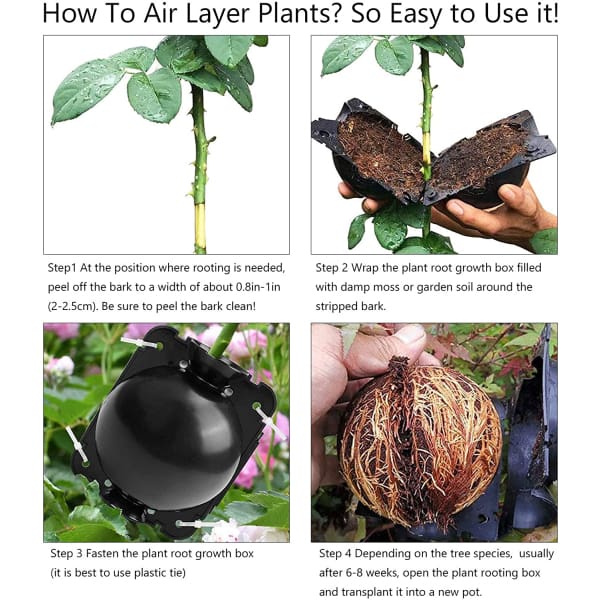 EcoRoot™ Box pro růst kořenů rostlin