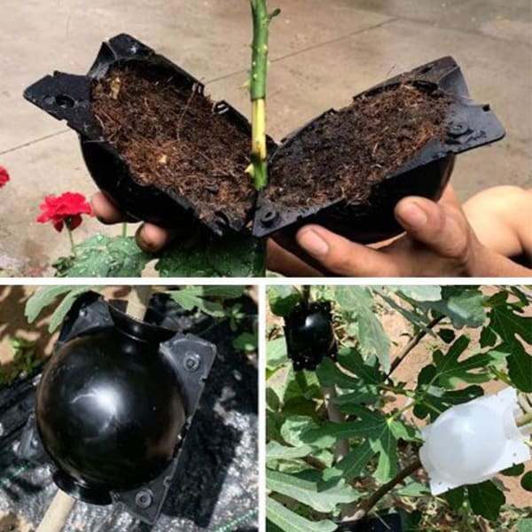 EcoRoot™ Box pro růst kořenů rostlin