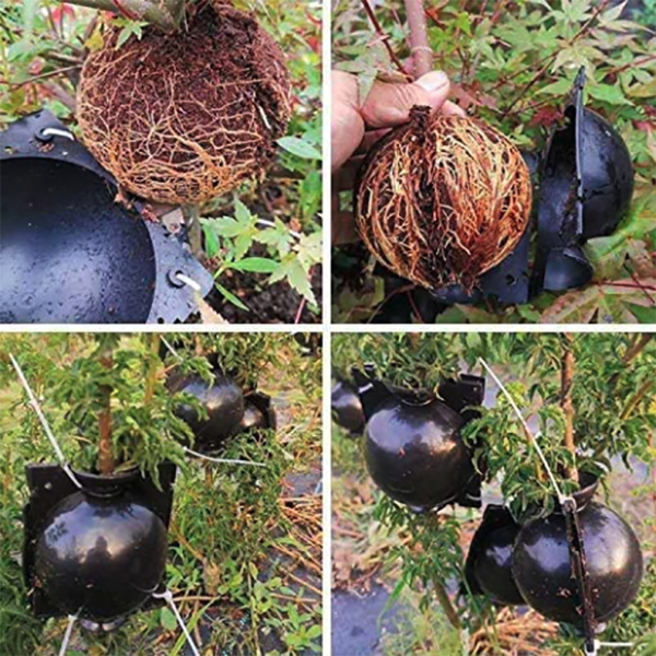 EcoRoot™ Box pro růst kořenů rostlin
