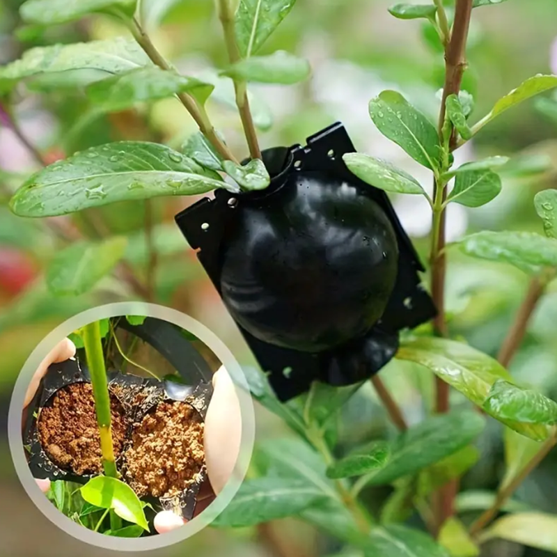 EcoRoot™ Box pro růst kořenů rostlin