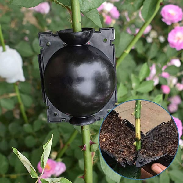 EcoRoot™ Box pro růst kořenů rostlin