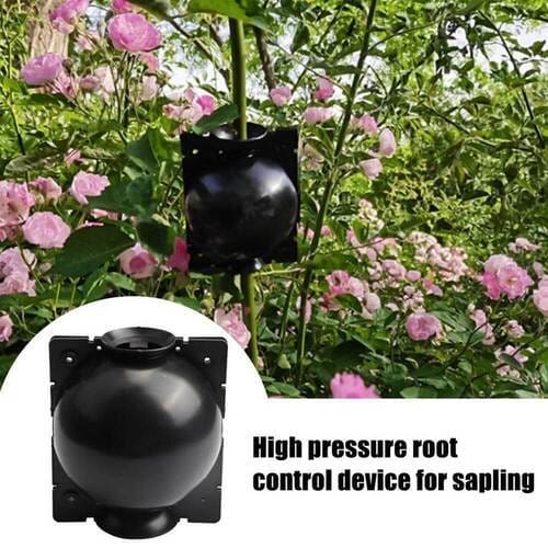 EcoRoot™ Box pro růst kořenů rostlin