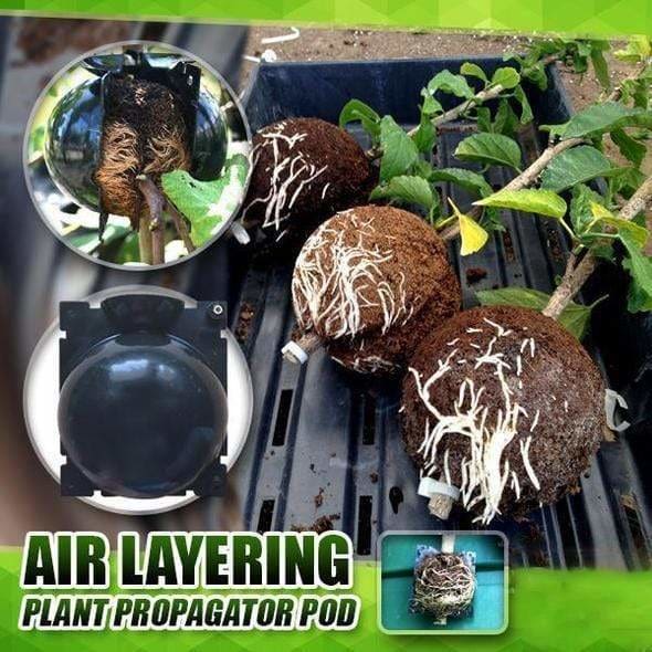 EcoRoot™ Box pro růst kořenů rostlin