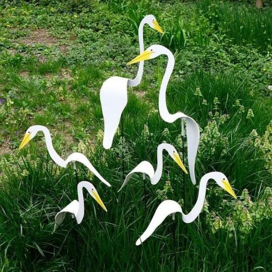 Gardenia Oasis™️ Zahradní plameňák