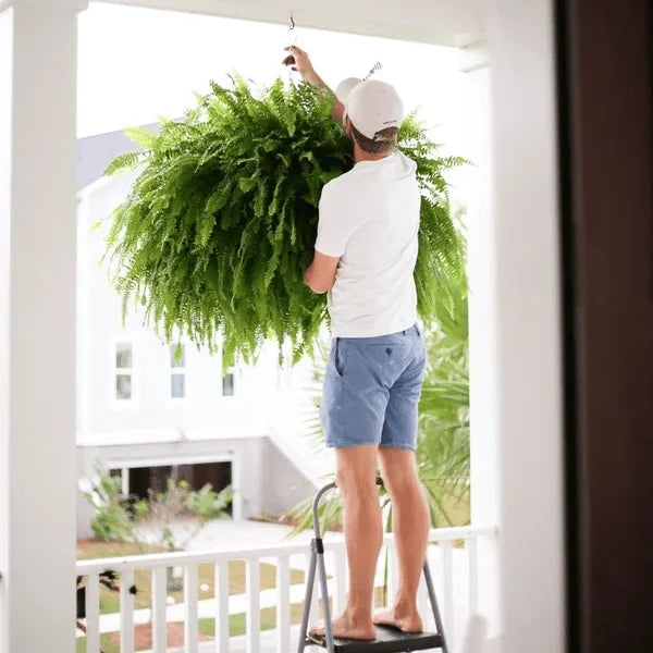 GreenAura™ Umělá bostonská kapradina odolná proti UV záření