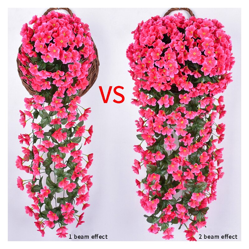 Jardea™️ Závěsné orchideje