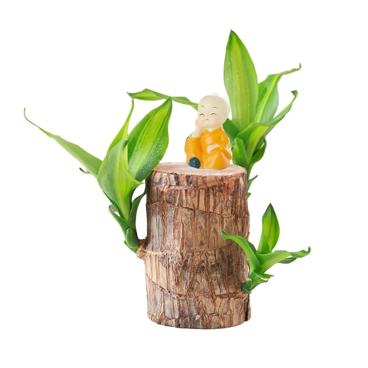 LuckyWood™ Dřevěná rostlina v květináči