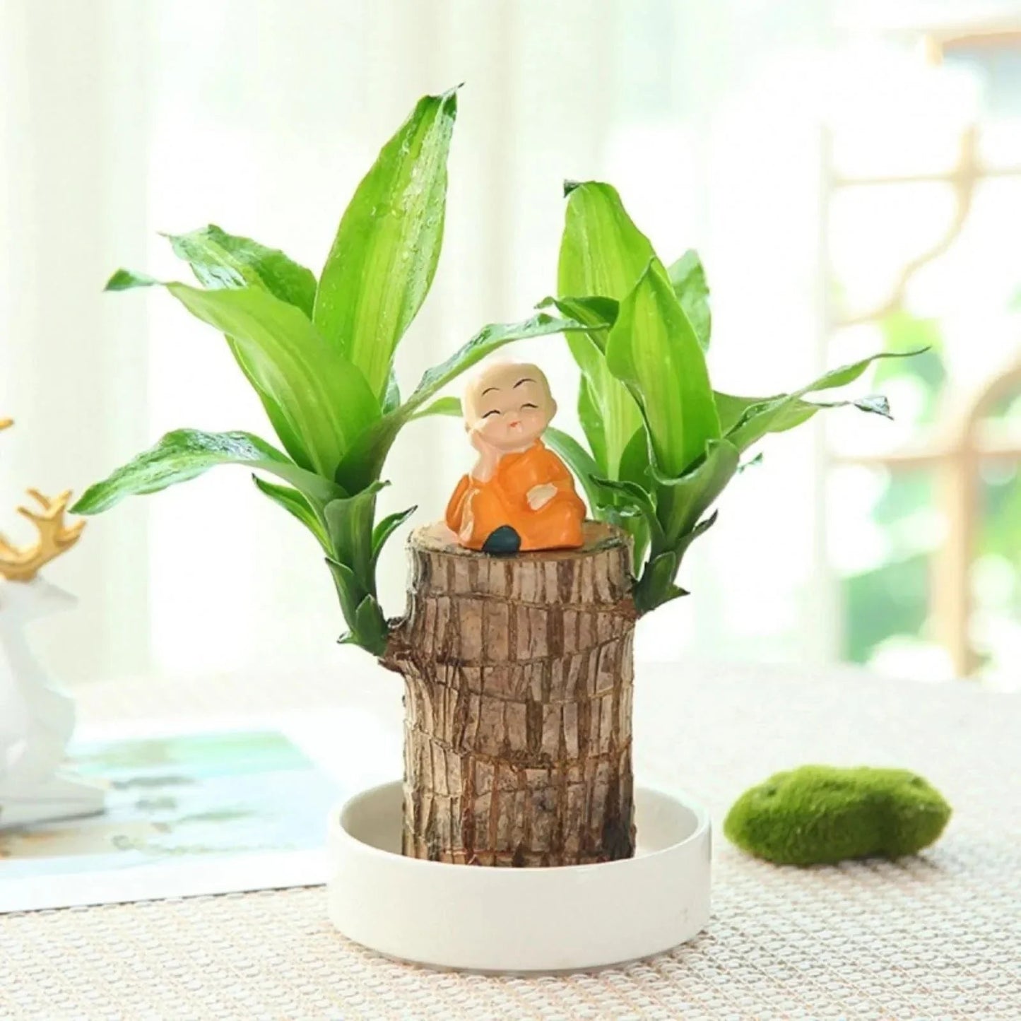 LuckyWood™ Dřevěná rostlina v květináči