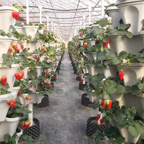 VertiBloom™ Stohovací květináč