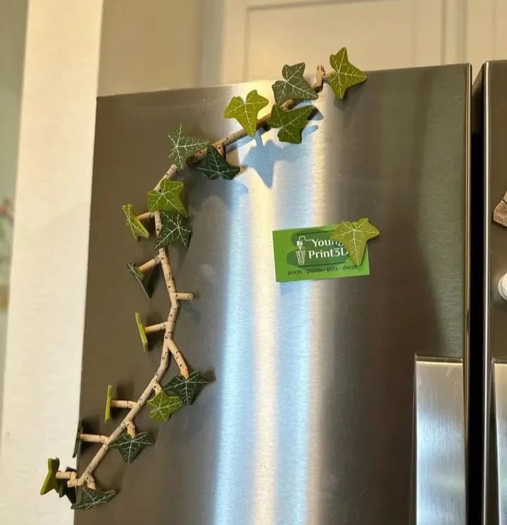 VineMag™ 3D magnety na lednici s břečťanem 6 listů s vinnou révou