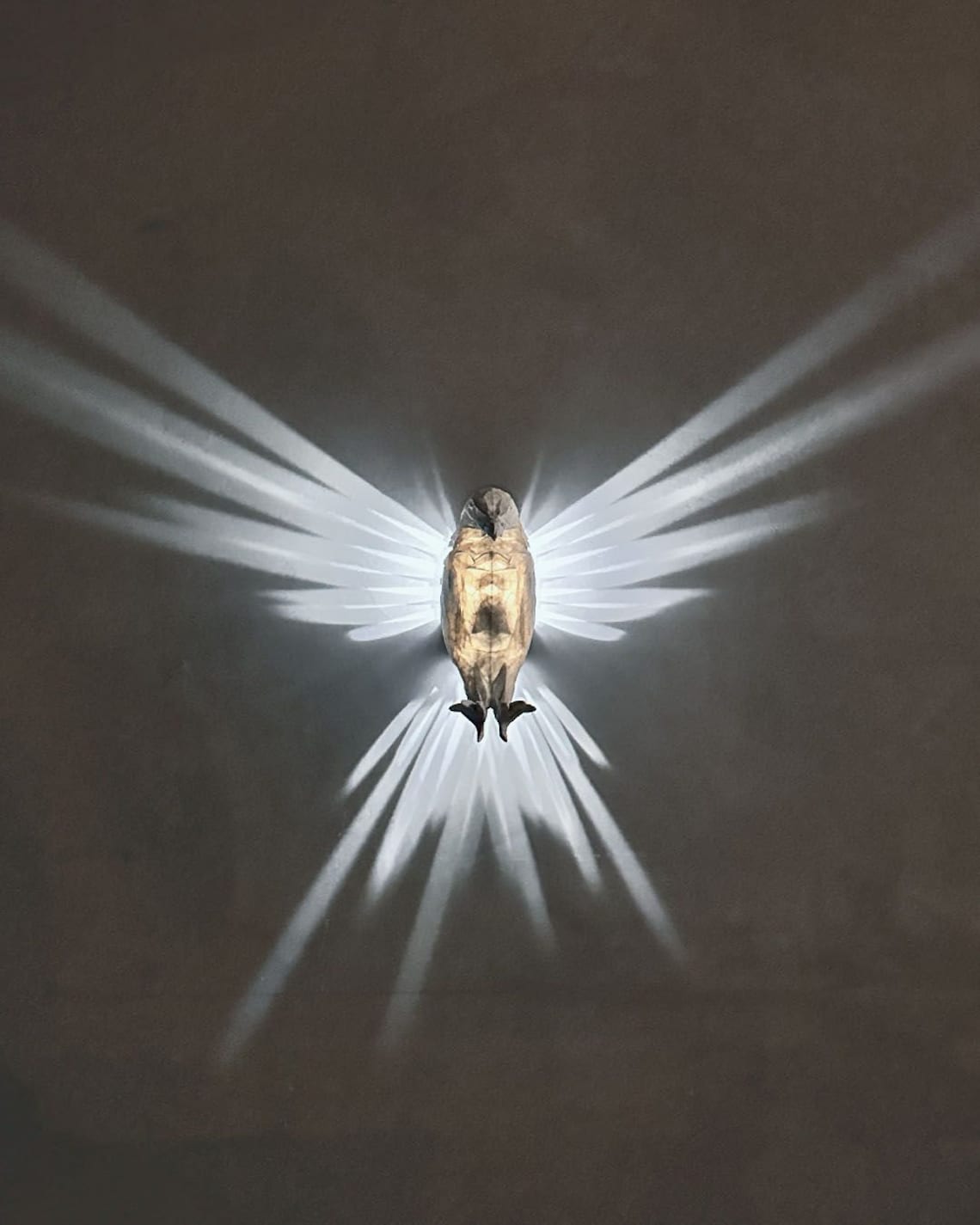 Wall Art™ 3D zvířata LED nástěnné světlo