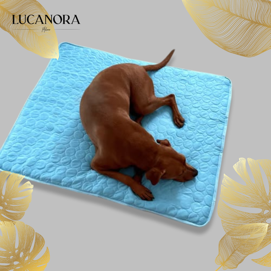 CoolPetz™ Chladicí podložka pro psy