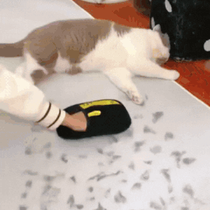 FurZen+™ Oboustranné rukavice na odstranění chlupů | Už žádné chlupy od mazlíčků!