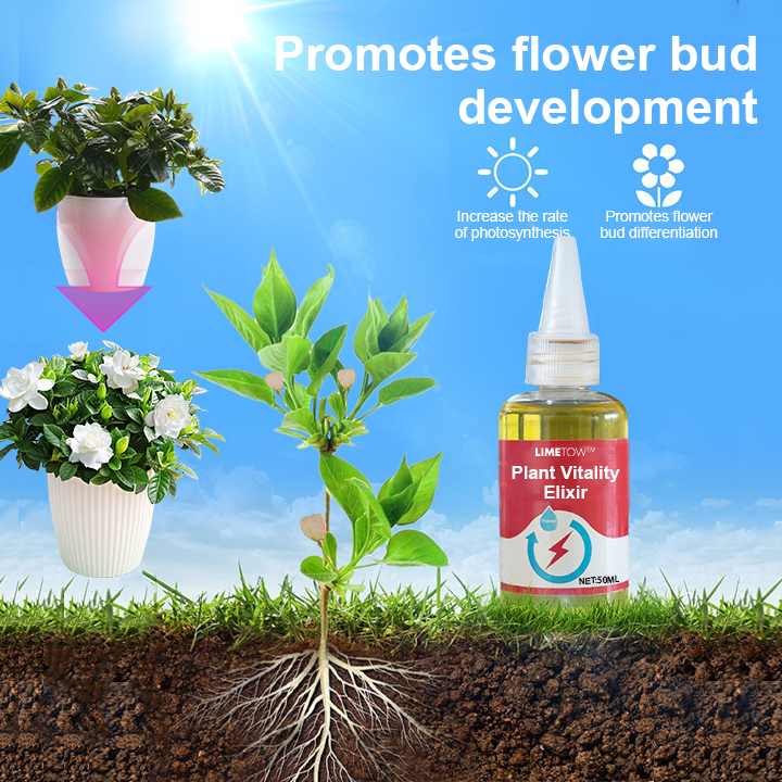 GreenBloom™ Přírodní výživa pro rostliny