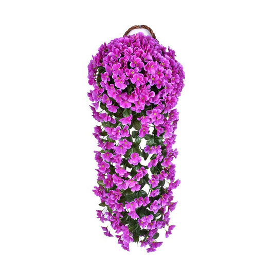 Jardea™️ Závěsné orchideje