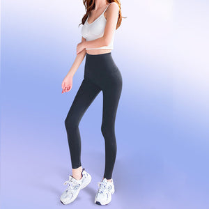 Šedá