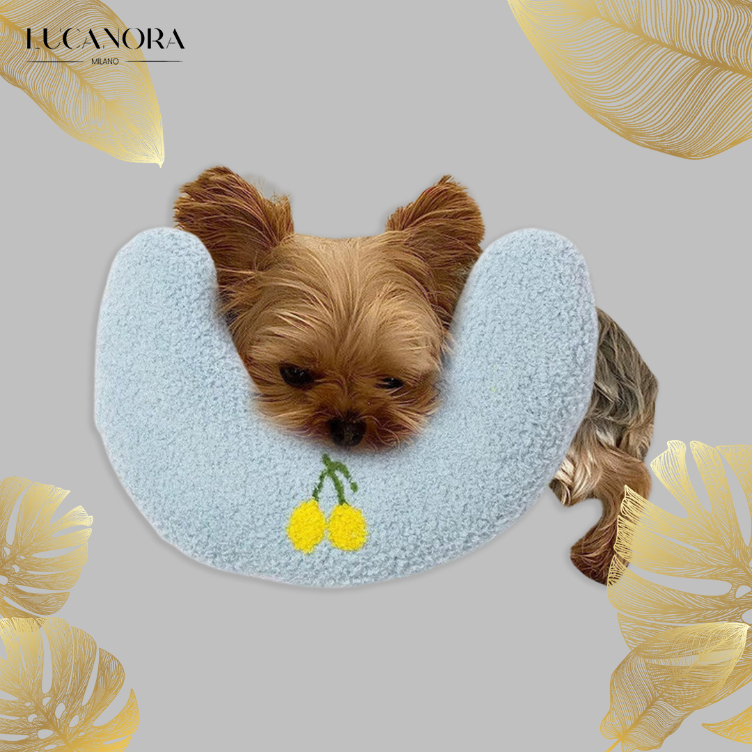Zen Paw™ Relaxační polštář pro psy